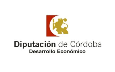 PROGRAMA ANUAL DE CONCERTACIÓN Y EMPLEO DE DIPUTACIÓN 2018. DESARROLLO LOCAL EMPRESARIAL 2018
