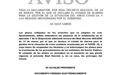Decreto Suspensión de Plazos durante Declaración Estado de Alarma.